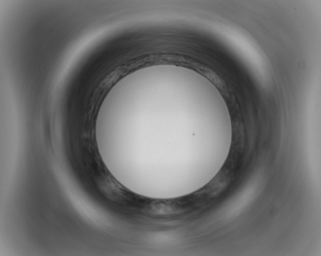 X0000114490526200910191119