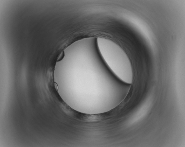 X0000114490527200910191119
