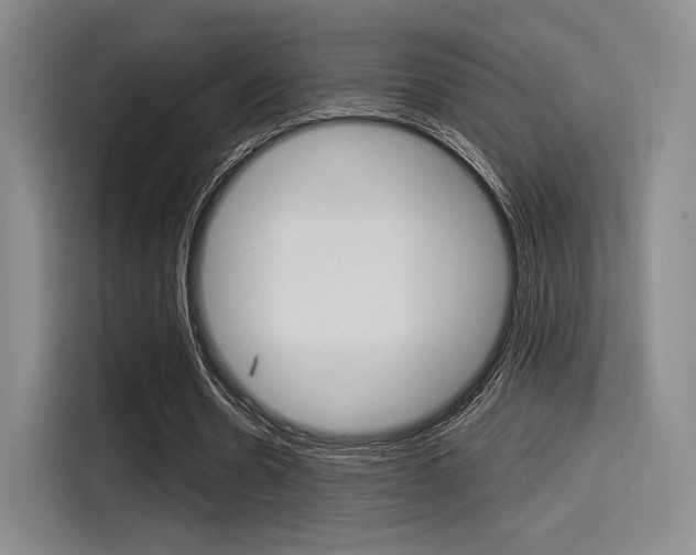 X0000114490530200910191118