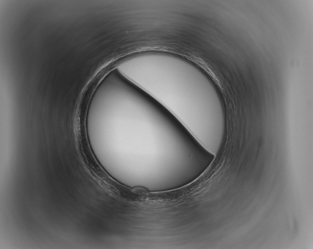 X0000114490531200910191118