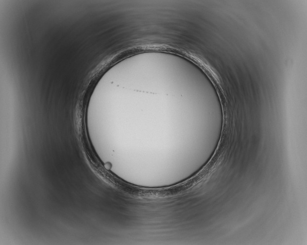 X0000114490533200910191118