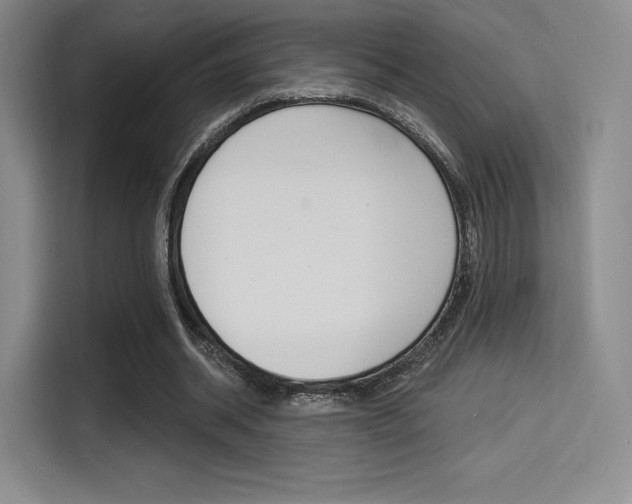 X0000114490534200910191118