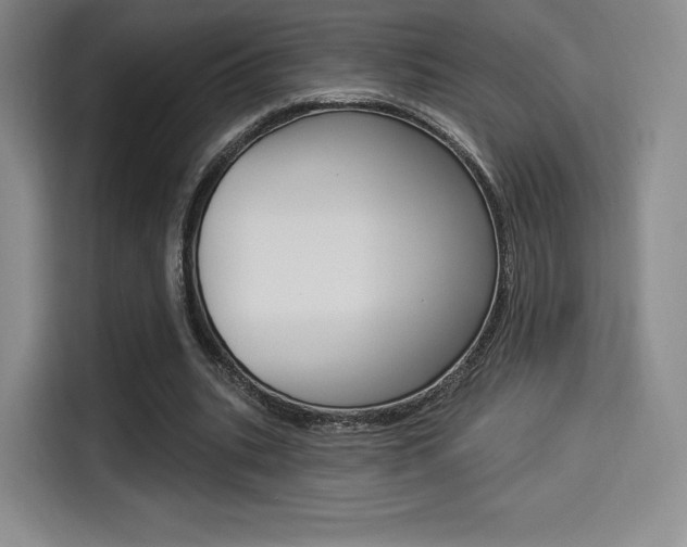 X0000114490535200910191118