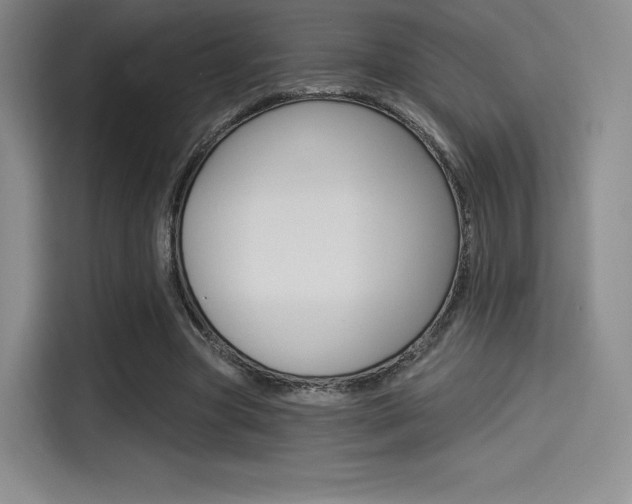 X0000114490537200910191118