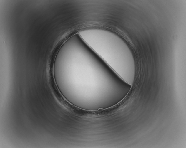X0000114490538200910191118