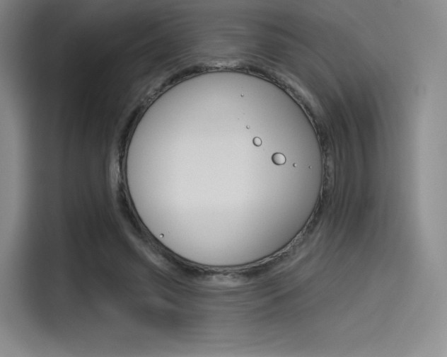 X0000114490541200910191118