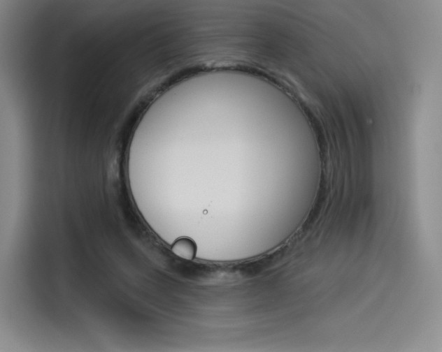 X0000114490543200910191118
