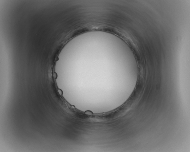 X0000114490545200910191118