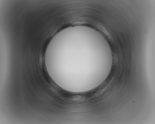 X0000114490549200910191118