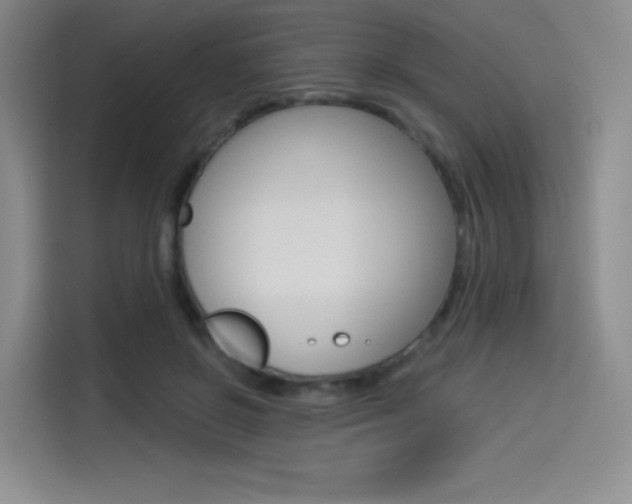 X0000114490550200910191119