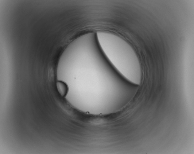 X0000114490551200910191119