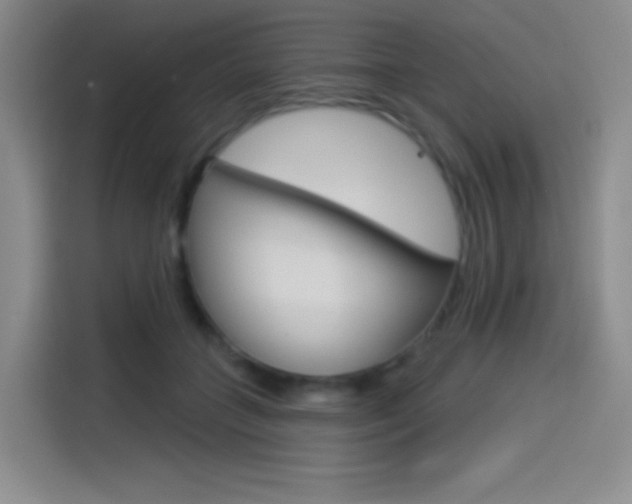 X0000114490555200910191119