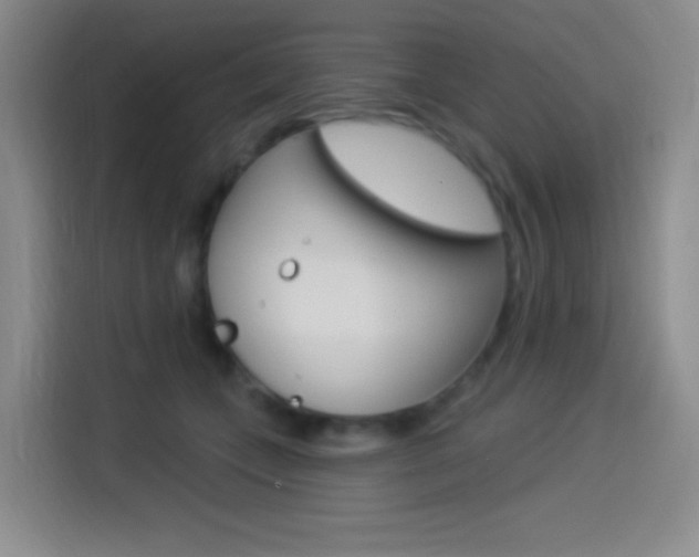 X0000114490559200910191119