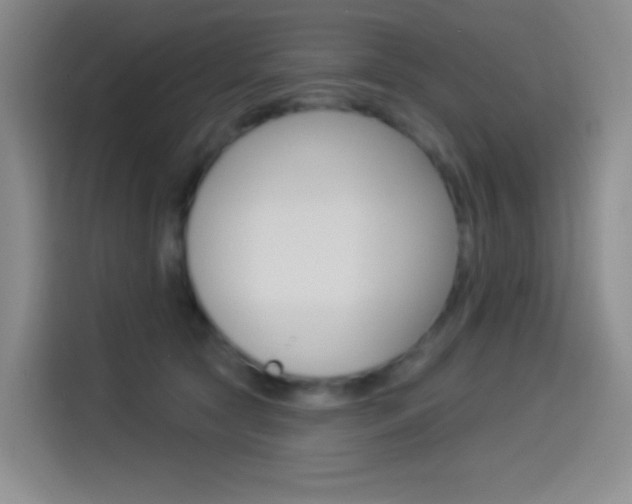 X0000114490561200910191119
