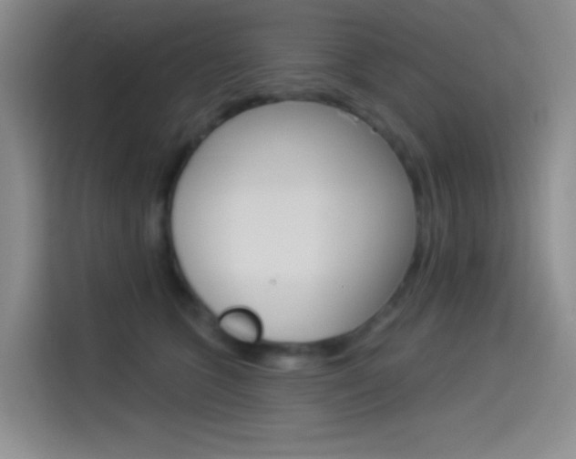 X0000114490563200910191119