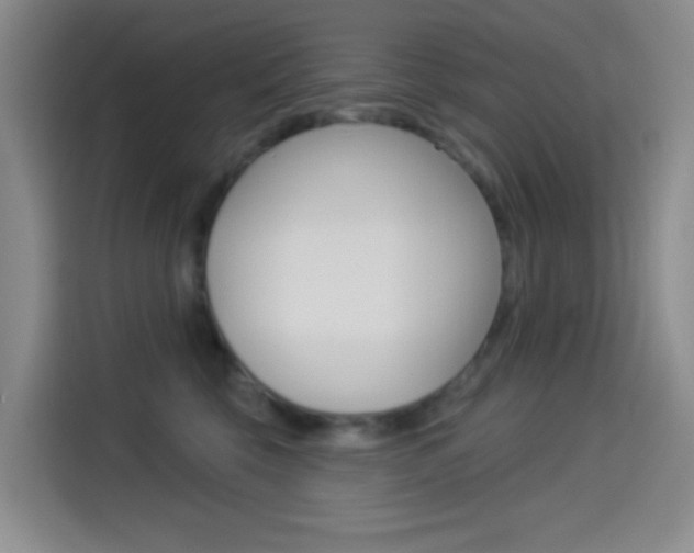 X0000114490569200910191119