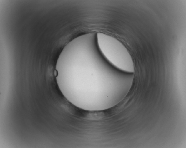 X0000114490571200910191119