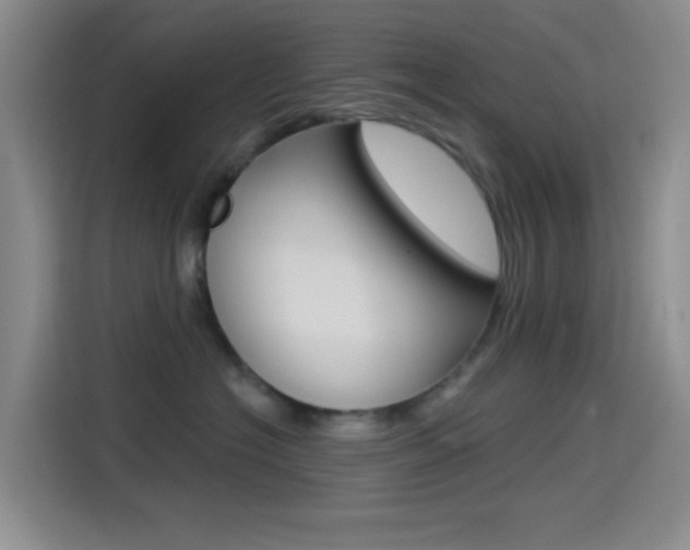 X0000114490574200910191119
