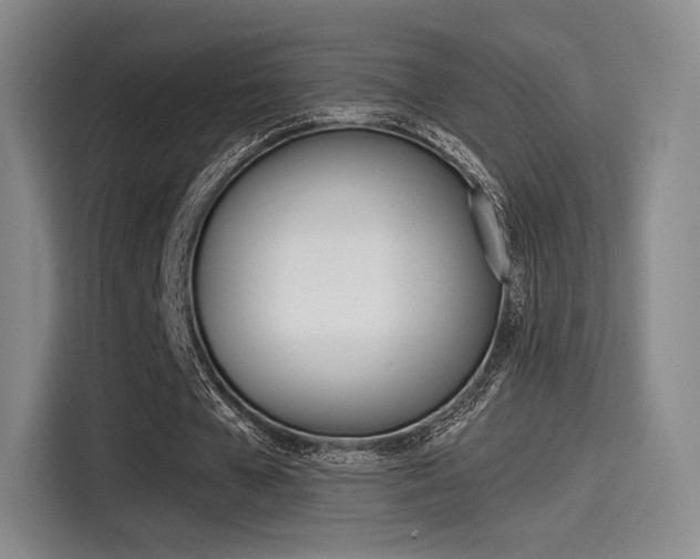 X0000114490577200910191118