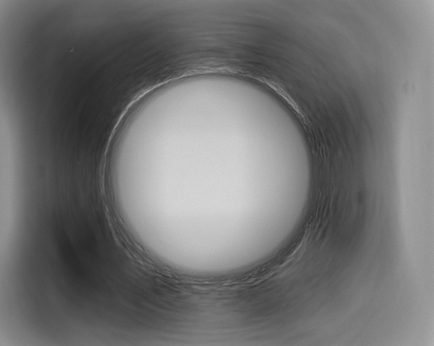 X0000114490579200910191118