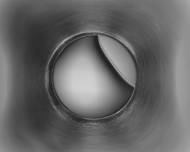 X0000114490580200910191118