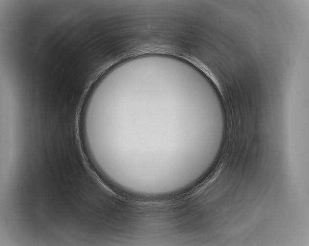 X0000114490581200910191118