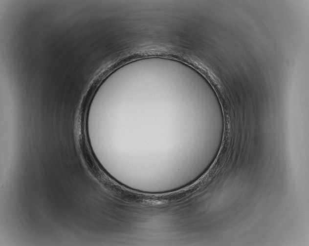 X0000114490582200910191118