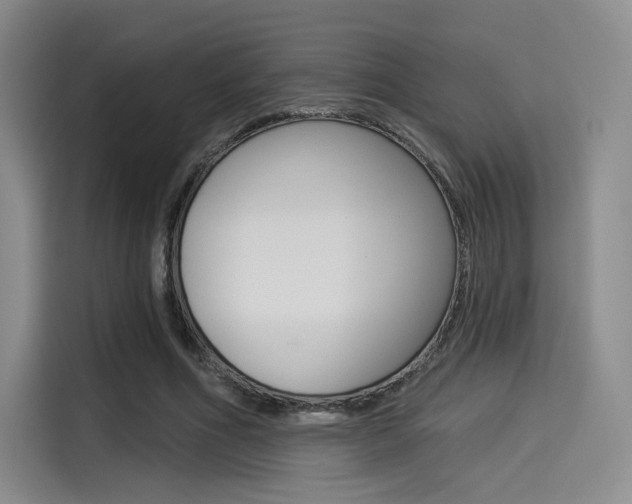 X0000114490586200910191118
