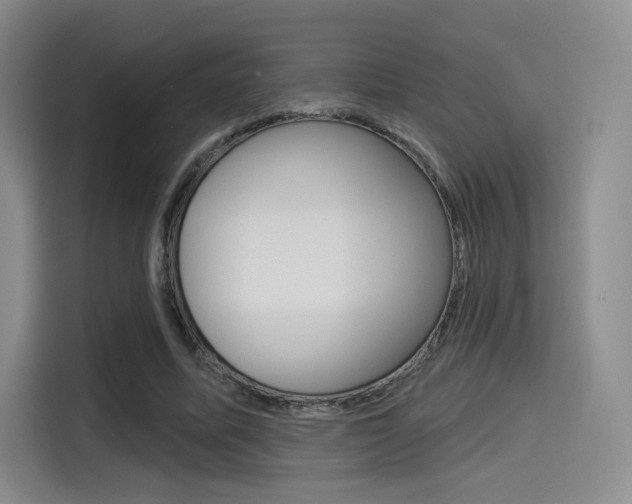 X0000114490587200910191118