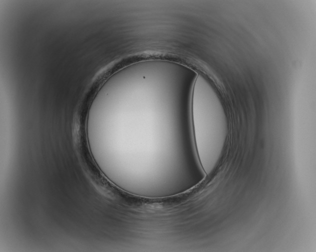 X0000114490588200910191118