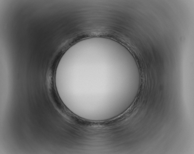 X0000114490590200910191118