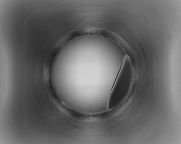 X0000114490593200910191118