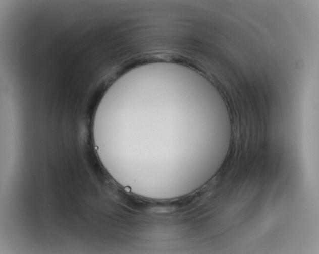 X0000114490595200910191118