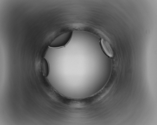 X0000114490597200910191118