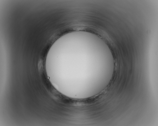 X0000114490598200910191118