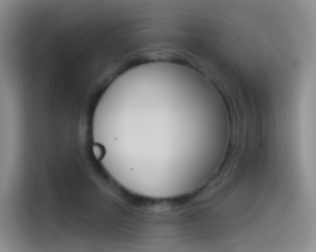 X0000114490600200910191118