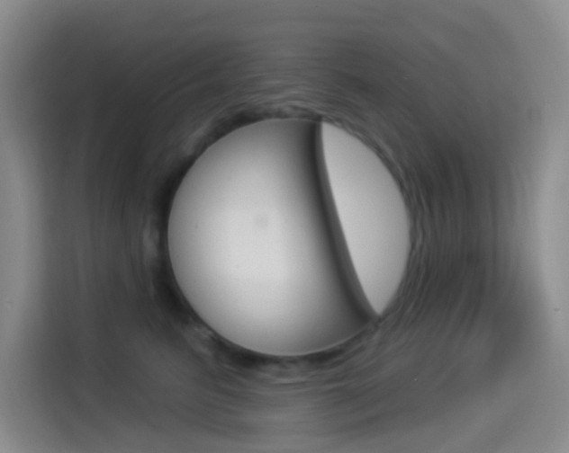 X0000114490615200910191118