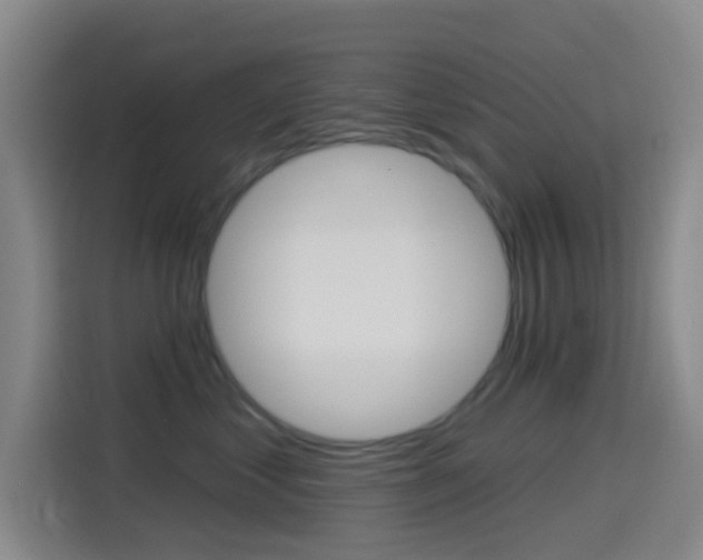 X0000114490621200910191118