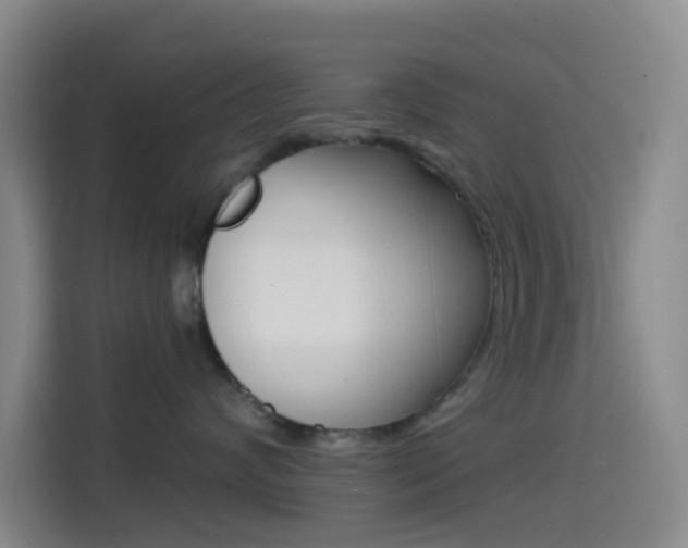 X0000114490624200910191118