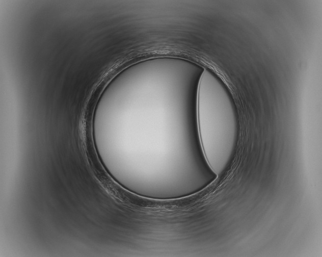 X0000114490626200910191117