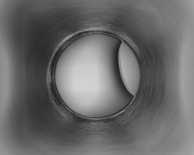 X0000114490628200910191117