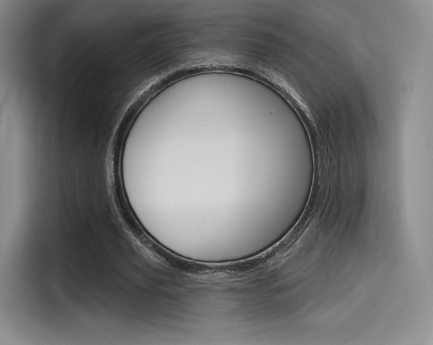 X0000114490629200910191117