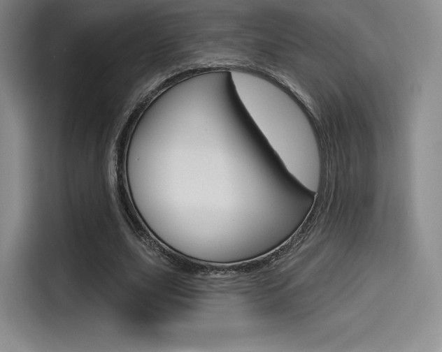 X0000114490631200910191117
