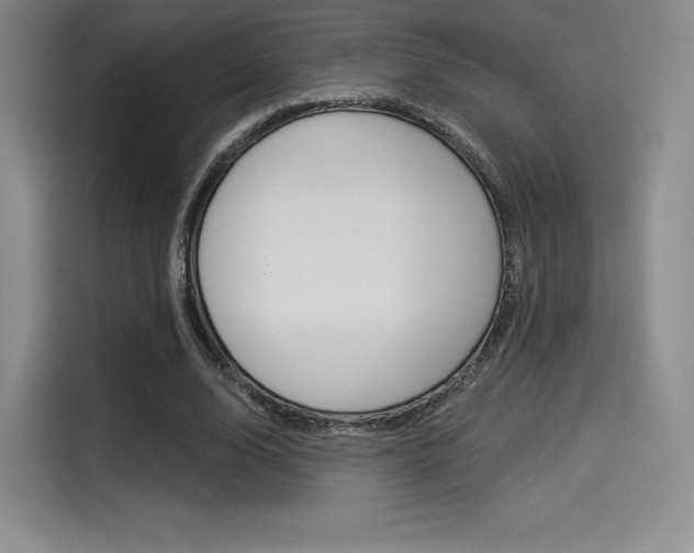 X0000114490632200910191117