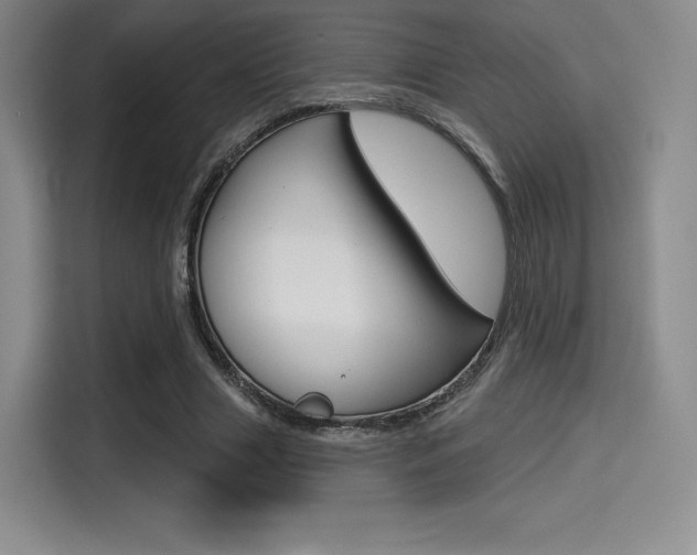 X0000114490633200910191117