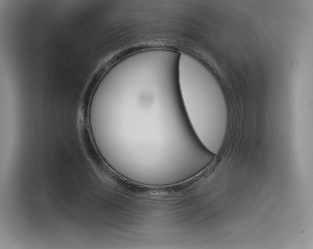 X0000114490636200910191117