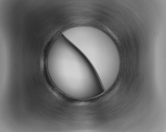 X0000114490637200910191117