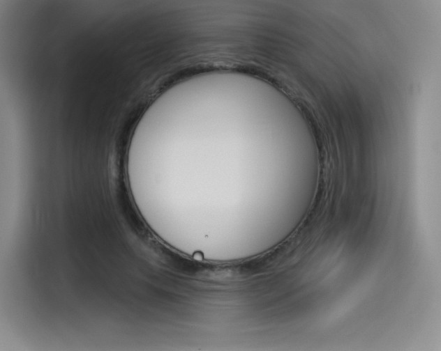 X0000114490639200910191117