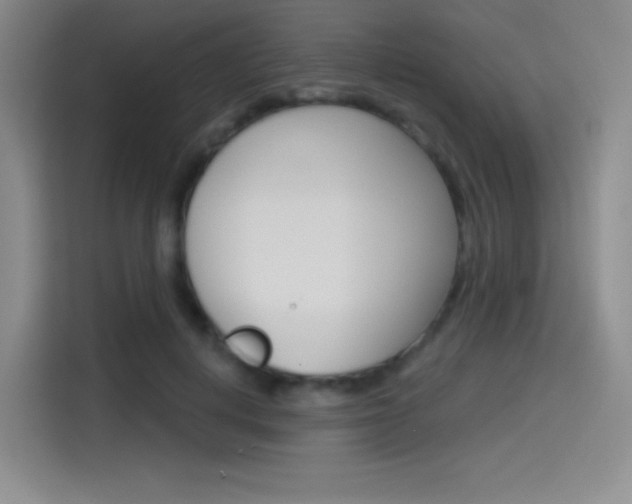 X0000114490648200910191117