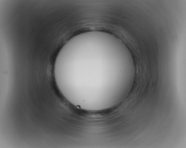 X0000114490650200910191117